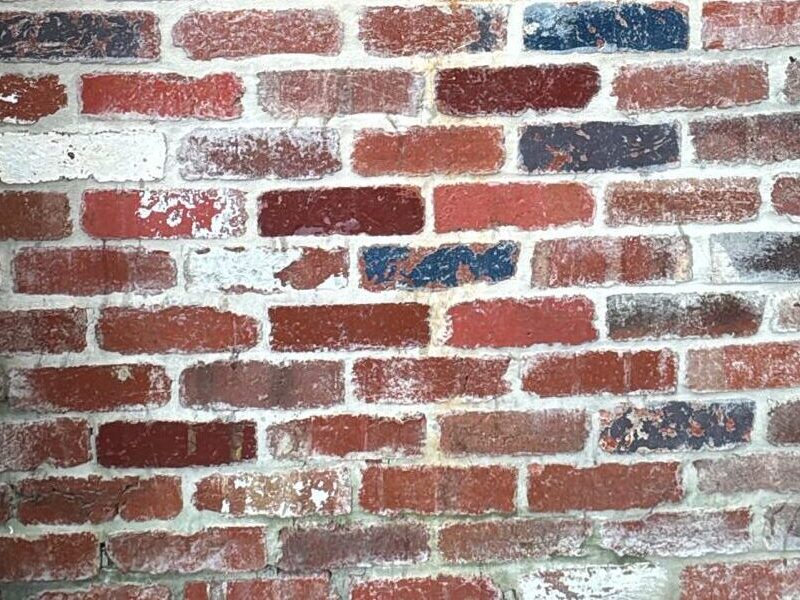 WhatsApp Image 2025-11-18 at 4.37.56 PM